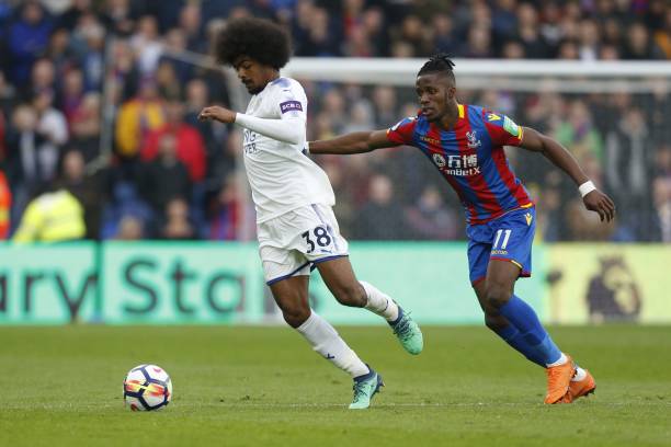 希望绽放出 希望绽放出